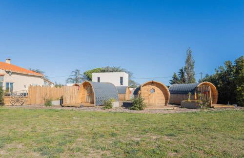 Barrel Violet - Foto 15