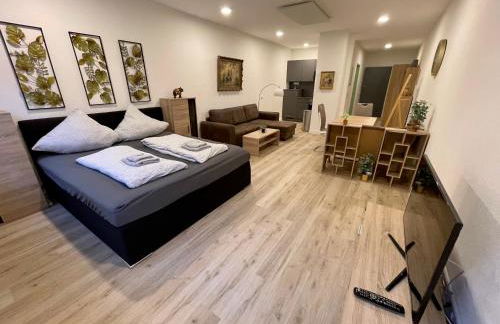 NEU Goldstadt Gallery City Suite Zentrum Pforzheim am Schlössle - Foto 13