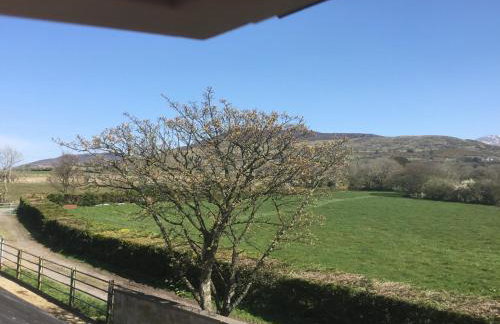 Tyddyn Perthi Farm - Foto 8