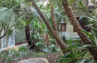 VISTA - Lake & Pool - Foto 31