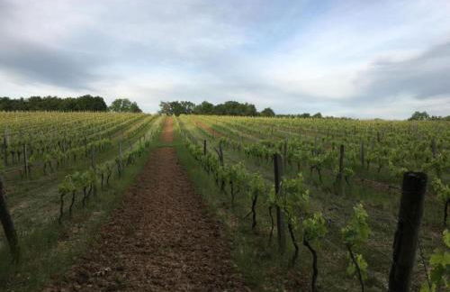 Villa in Aquitaine with Pool & BBQ - Foto 40