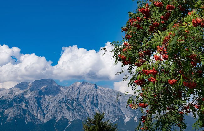 Krepperhütte - Foto 57