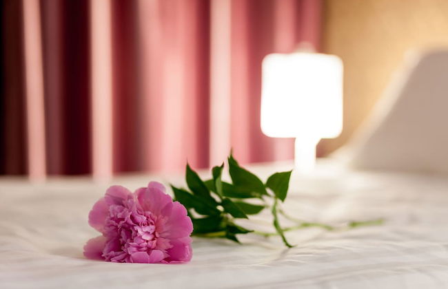 Tomis Garden Aparthotel - Photo 38