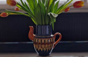 Familienhof Gottschalk - Photo 13