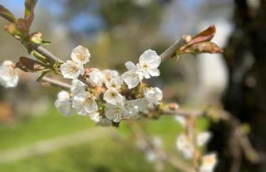 Ferienwohnung in Kitzingen - Foto 5