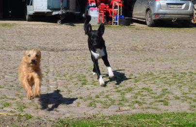 Ferienwohnung Noltenius - Foto 17