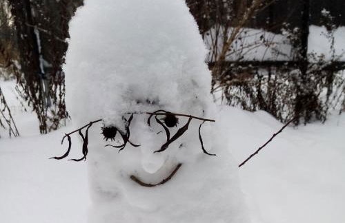 Ferienhaus Waldblick - Foto 50