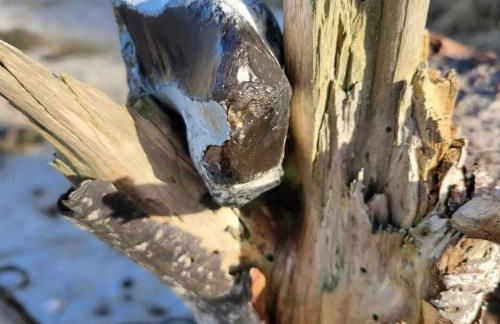 Ferienhaus zum Sonnenblick - Foto 25