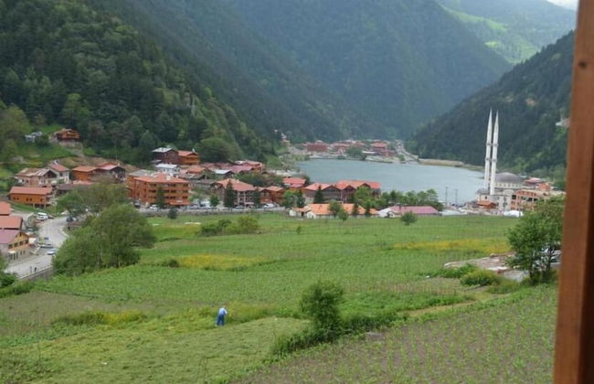 Zeren Pansiyon - Photo 44