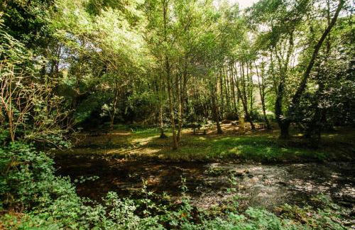 Casa Calma Rural - Foto 48