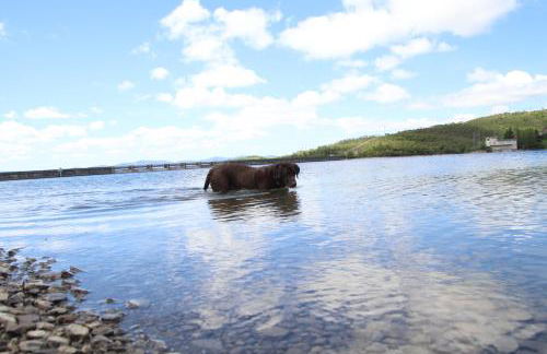 Apartamento ideal Florida - Foto 22