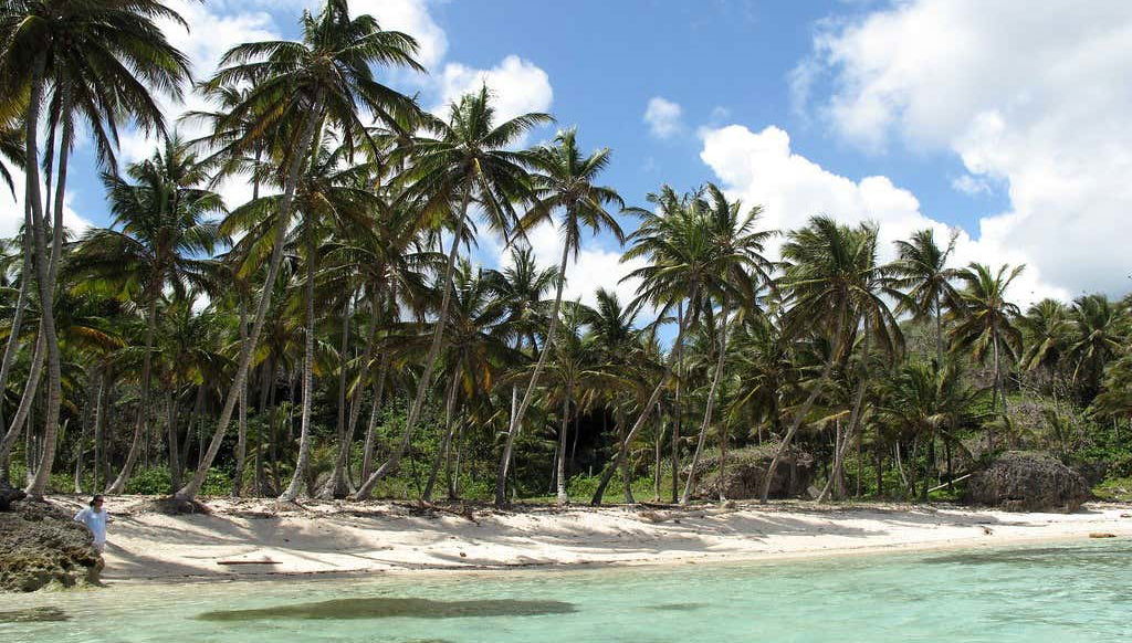 Tour en lancha rápida por las playas de Samaná - Foto 2