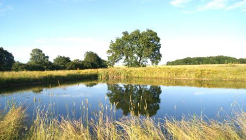 The Old Pump House - Foto 5