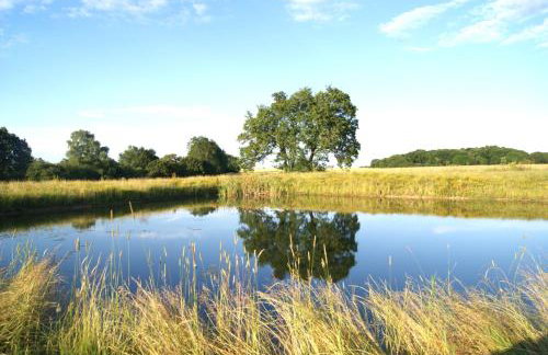 The Old Pump House - Photo 5
