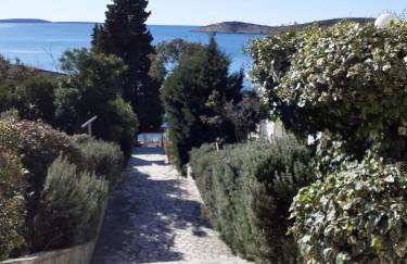 Apartments Pinezić - Foto 24