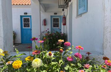 Anthemis Studios - Photo 1