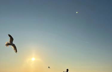 Strandbude 44 - Foto 28