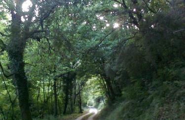 Agriturismo Il Pillone - Foto 17