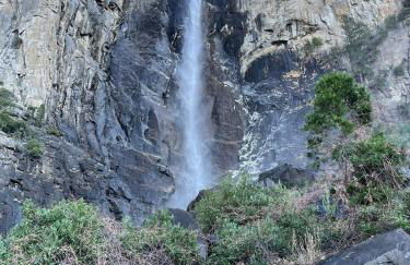 La Dolce Villa Pond Retreat in Yosemite - Foto 8