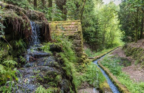 Casa da Torre - Natureza, Cultura e Aventura no Norte de Portugal - Foto 79
