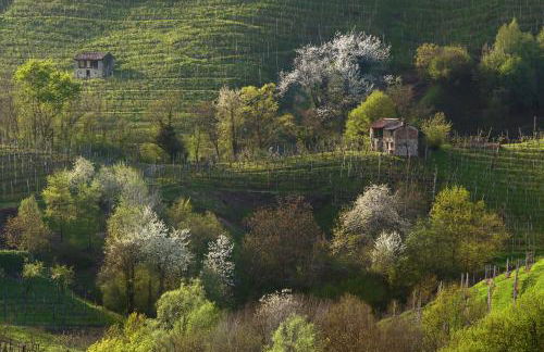 Villa Puri nella Valle dei Laghi - Foto 78