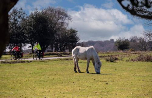 Oak Lodge - Photo 44