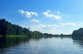 Oaza Święty Spokój - domek z balią i jacuzzi - Foto 47