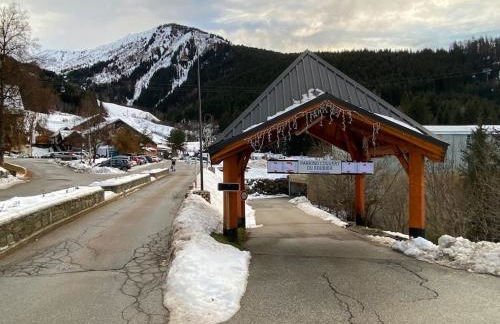 Oz en oisan APPART 6-8 PERS CHALET DES NEIGES Piscine -Sauna - Foto 8