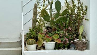 Spacious and cosy - village house - Foto 4