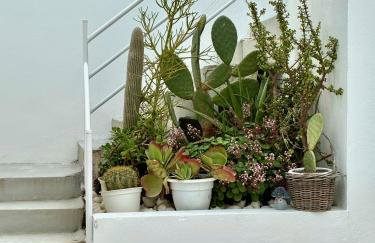 Spacious and cosy - village house - Foto 4