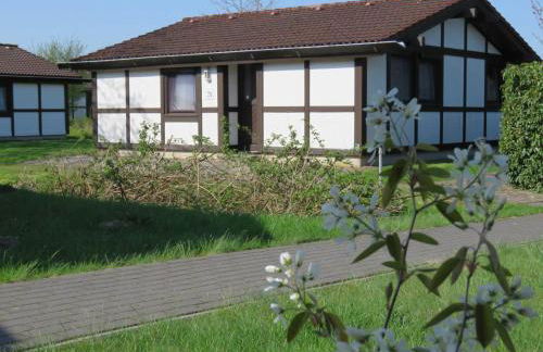 Ferienhaus Scout 48 im Feriendorf - Photo 58