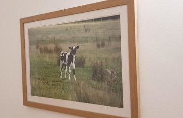 The Den, Coves House - Foto 14