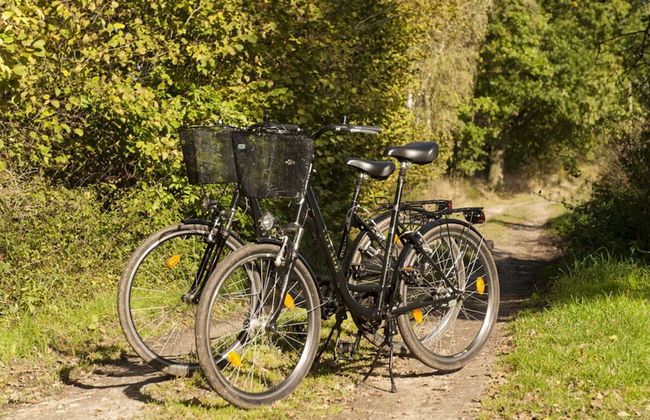 Holiday Home Owl's Nest - Foto 12