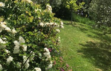 Podere Casallorto - Foto 9