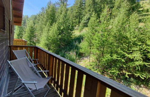 Duplex 6 personne au pied des pistes - Foto 7