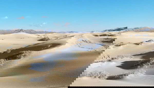 Samalayuca Dunes Sandboarding Tour - Foto 4