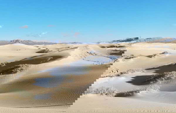 Sandboard aux dunes de Samalayuca - Photo 4