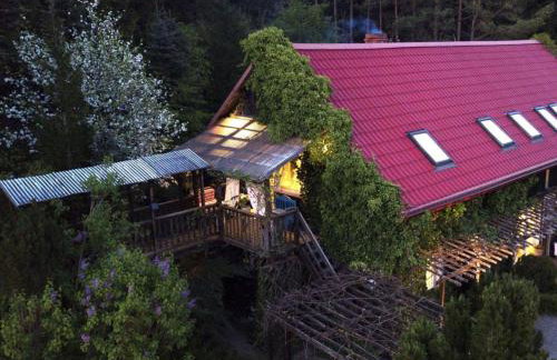 Holiday Home in Ró ewko with Pool and Orchard - Foto 2