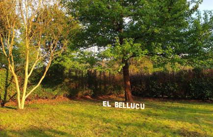 Casa Rural El Bellucu - Foto 43