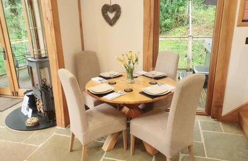 Swn Y Nant Lodge with hot tub Brecon - Foto 28