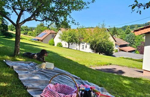 Ferienwohnung Schwarzhof- Hahnekräh am Bostalsee, helle 75 qm & hundefreundlich - Foto 6