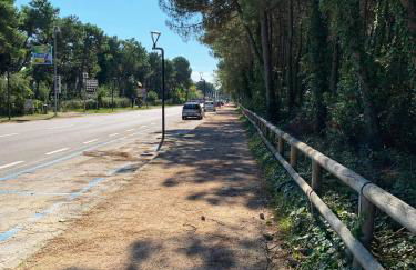 MedusaBlu121 - Photo 5