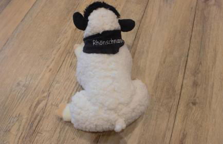 Ferienwohnungen Rhönschnuppe - Foto 34