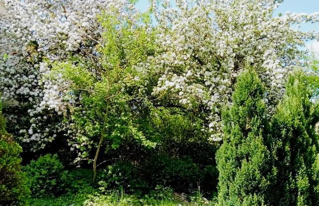 Eifel Garden Villa for Groups - Foto 33