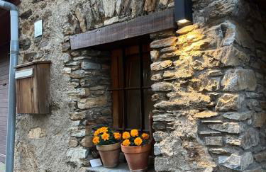 Casa Tapiolas Rectoría - Foto 10