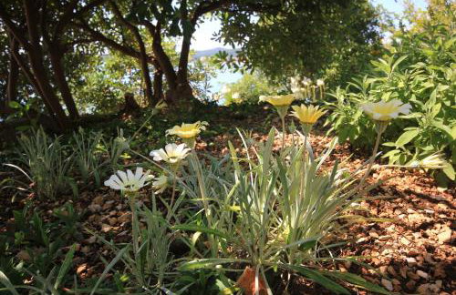 Apartments by the sea Kuciste - Perna, Peljesac - 4542 - Photo 13