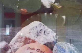 Apartment Mooij Plaats by Interhome - Foto 11