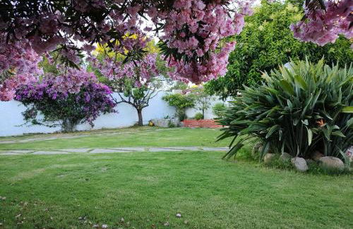 Villa Teresa - Foto 10