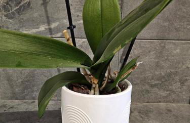 La Casa - Gîte familal - 15min from Puy duFou - Foto 43