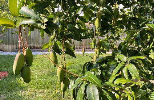 Hot tub, tiki bar, outdoor shower, near Intercoastal Waterway! - Foto 17